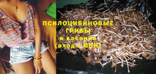 дмт Семилуки