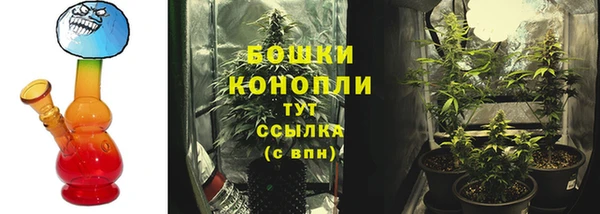 2c-b Белоозёрский