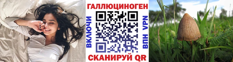 Галлюциногенные грибы Cubensis  Нефтекумск 